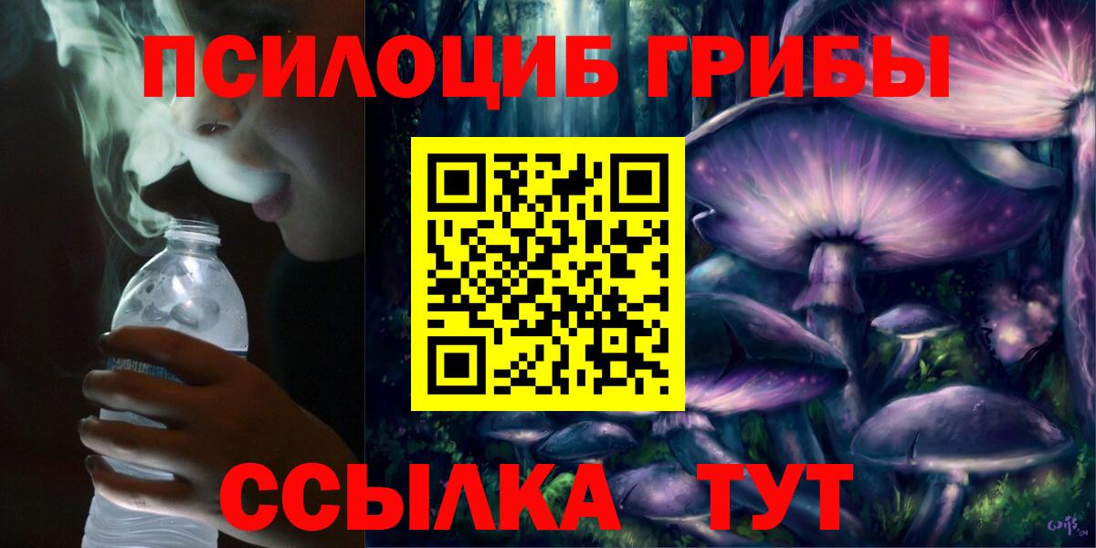 Псилоцибиновые грибы прущие грибы Волхов