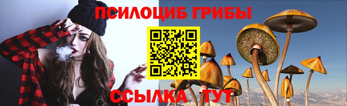 Псилоцибиновые грибы MAGIC MUSHROOMS  Вход с VPN  Псилоцибиновые грибы ЛСД  Волхов 